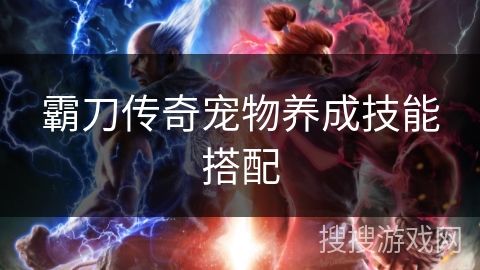 霸刀传奇宠物养成技能搭配