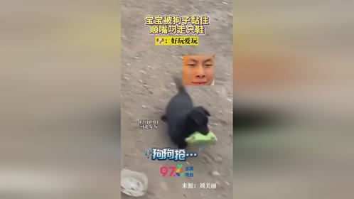 人类幼崽真好玩