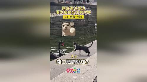 你上来啊