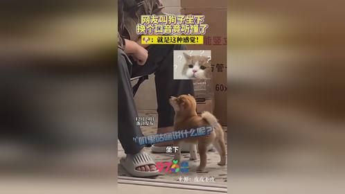 是故乡的声音