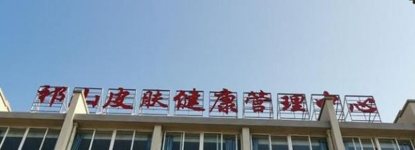 3岁泰迪出现便血腥臭，引起注意（宠物爱护的重要性及处理便血问题的方法）