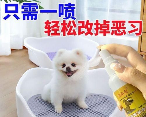 宠物狗出现便血怎么办（详解狗狗出现便血的原因及治疗方法）