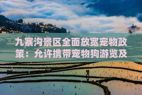 九寨沟景区全面放宽宠物政策：允许携带宠物狗游览及相关规定一览