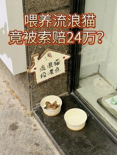 现在喂流浪猫是犯罪行为了吗❓❓❓