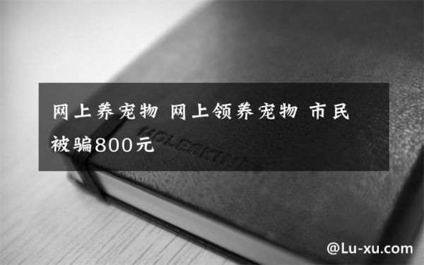 网上养宠物 网上领养宠物 市民被骗800元文章配图