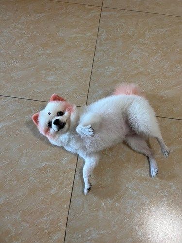 你是谁呀？毛手毛脚的