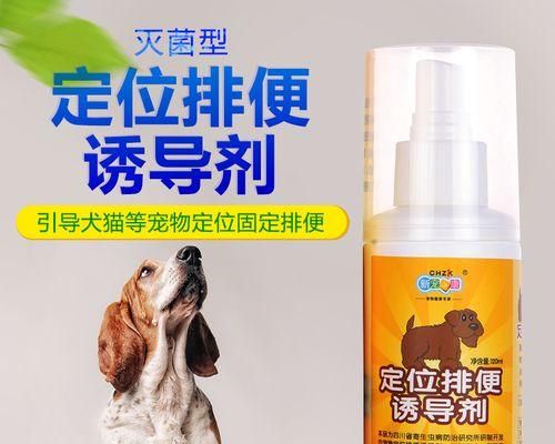 狗狗诱便剂，让宠物便便不再难！（宠物用药全攻略，安心解决大便难题）