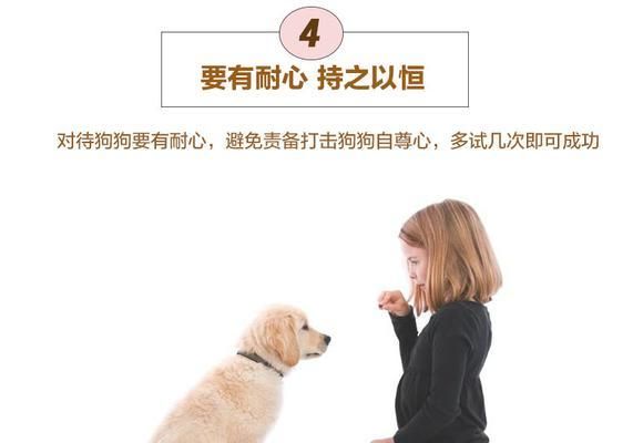 狗狗诱便剂，让宠物便便不再难！（宠物用药全攻略，安心解决大便难题）