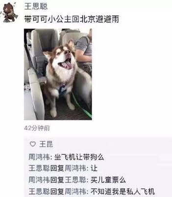 飞机让带狗吗
