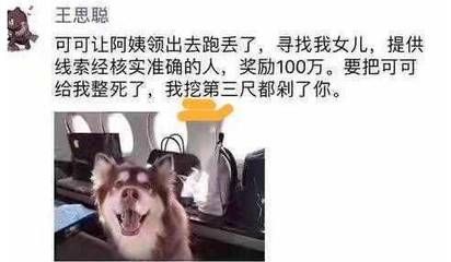 飞机让带狗吗