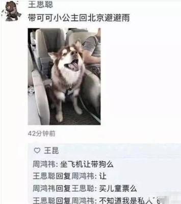 飞机让带狗吗