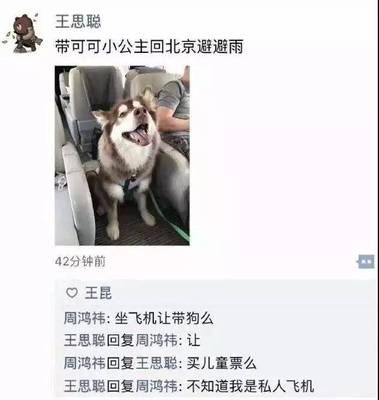 飞机让带狗吗