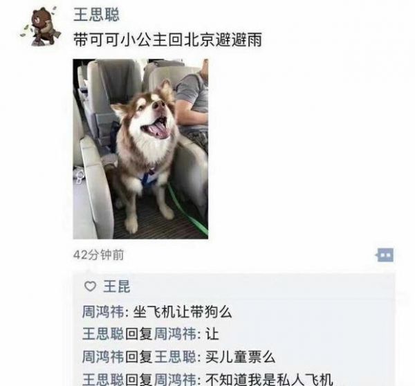 飞机让带狗吗