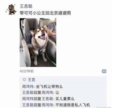 飞机让带狗吗