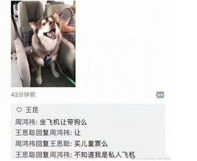 飞机让带狗吗
