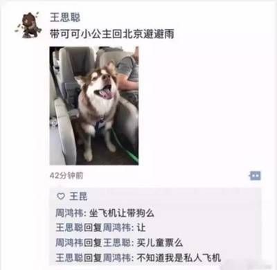 飞机让带狗吗