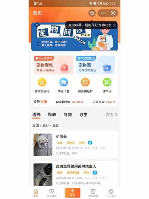 同城宠物领养赠送（有没有同城领养宠物的小程序）