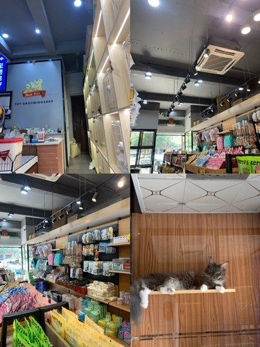  一家超棒的宠物零食洗护店
