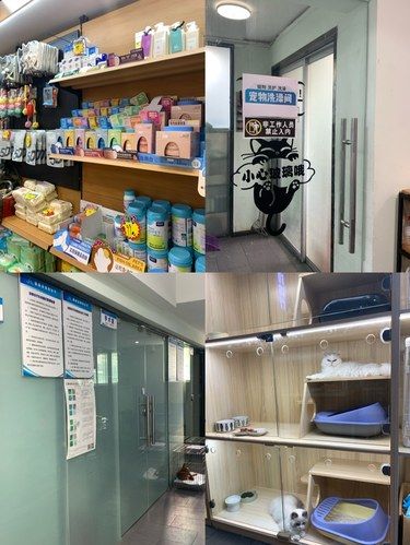还没有人知道这件宠物店吗？！