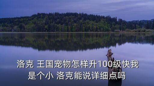  洛克 王国宠物怎样升100级快我是个小 洛克能说详细点吗