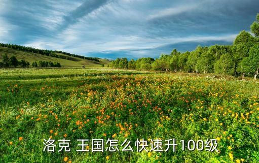  洛克 王国怎么快速升100级
