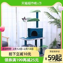 Hoopet 猫爬架不占地猫架小型猫窝猫树一体四季通用剑麻抓柱宠物猫咪用品