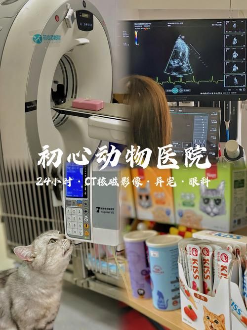 合肥哪家宠物医院正规，淮南市哪家宠物可以拍核磁共振？