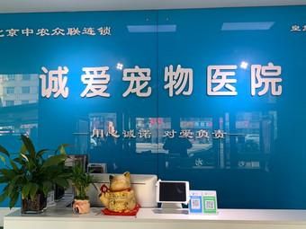 大同的宠物医院,大同的宠物医院有哪些