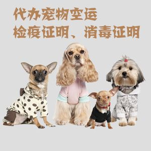 威海托运上门取宠