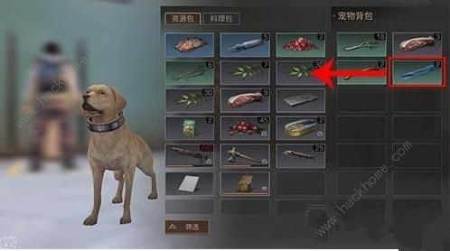 明日之后宠物背包怎么获得 宠物背包获得方法介绍图片3