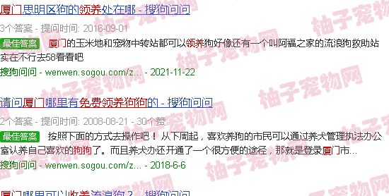 厦门狗狗免费领养中心