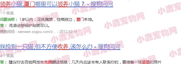 厦门宠物猫咪免费领养