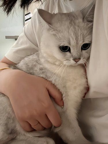 妈妈也舍不得贴贴怪啊……
