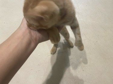 来医院打疫苗啦