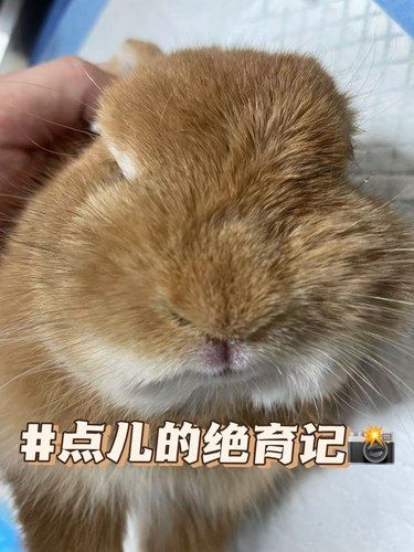 医术超赞 医心更美~
