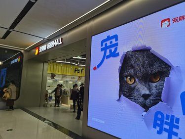 南京雨花万象天地宠胖胖超级Mall