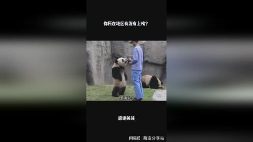 你所在地区有没有上榜？