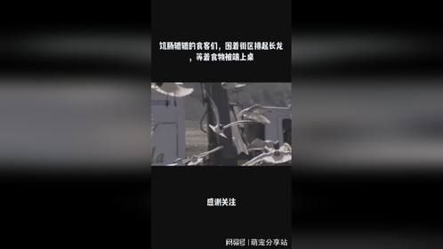饥肠辘辘的食客们，围着街区排起长龙，等着食物被端上桌