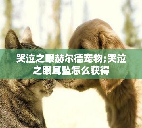 哭泣之眼赫尔德宠物;哭泣之眼耳坠怎么获得