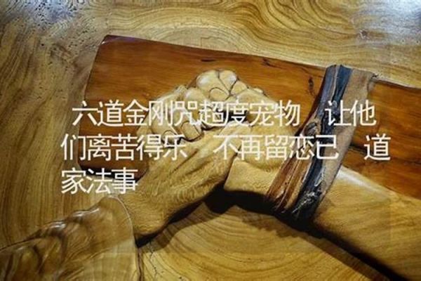 六道金刚咒超度宠物让他们离苦得乐不再留恋已（六道金刚咒超度宠物 让他们离苦得乐 不再留恋已）