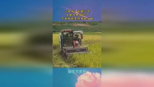 二伯女儿去世六年，女婿又来帮忙了，不离婚就是终身岳父母！