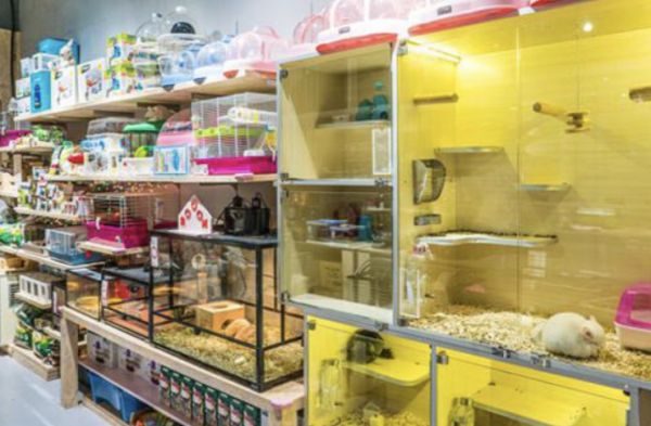 惜时宠物食品店