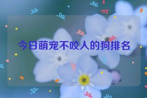 今日萌宠不咬人的狗排名