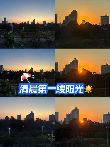 清晨的阳光☀️