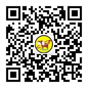 南京宠物之家宠物用品有限公司