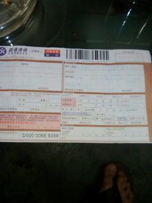 宠物血清怎么寄出国外的快递
