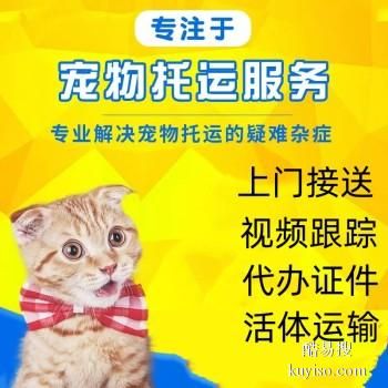 洛阳汝阳 宠物托运