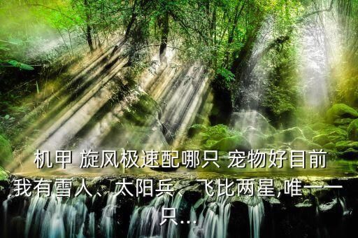  机甲 旋风极速配哪只 宠物好目前我有雪人、太阳兵、飞比两星,唯一一只...