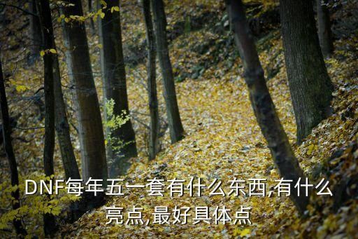 DNF每年五一套有什么东西,有什么亮点,最好具体点