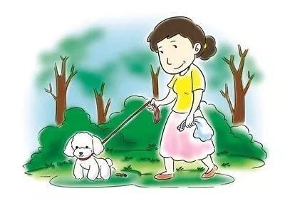 宠物狗伤人事件频发，错在狗，还是人?